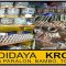 budidaya-kroto-rumahan
