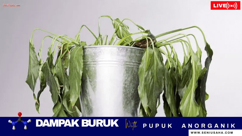 bahaya pupuk anorganik
