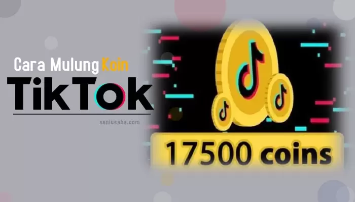 cara mulung koin di tiktok