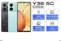 vivo_y36
